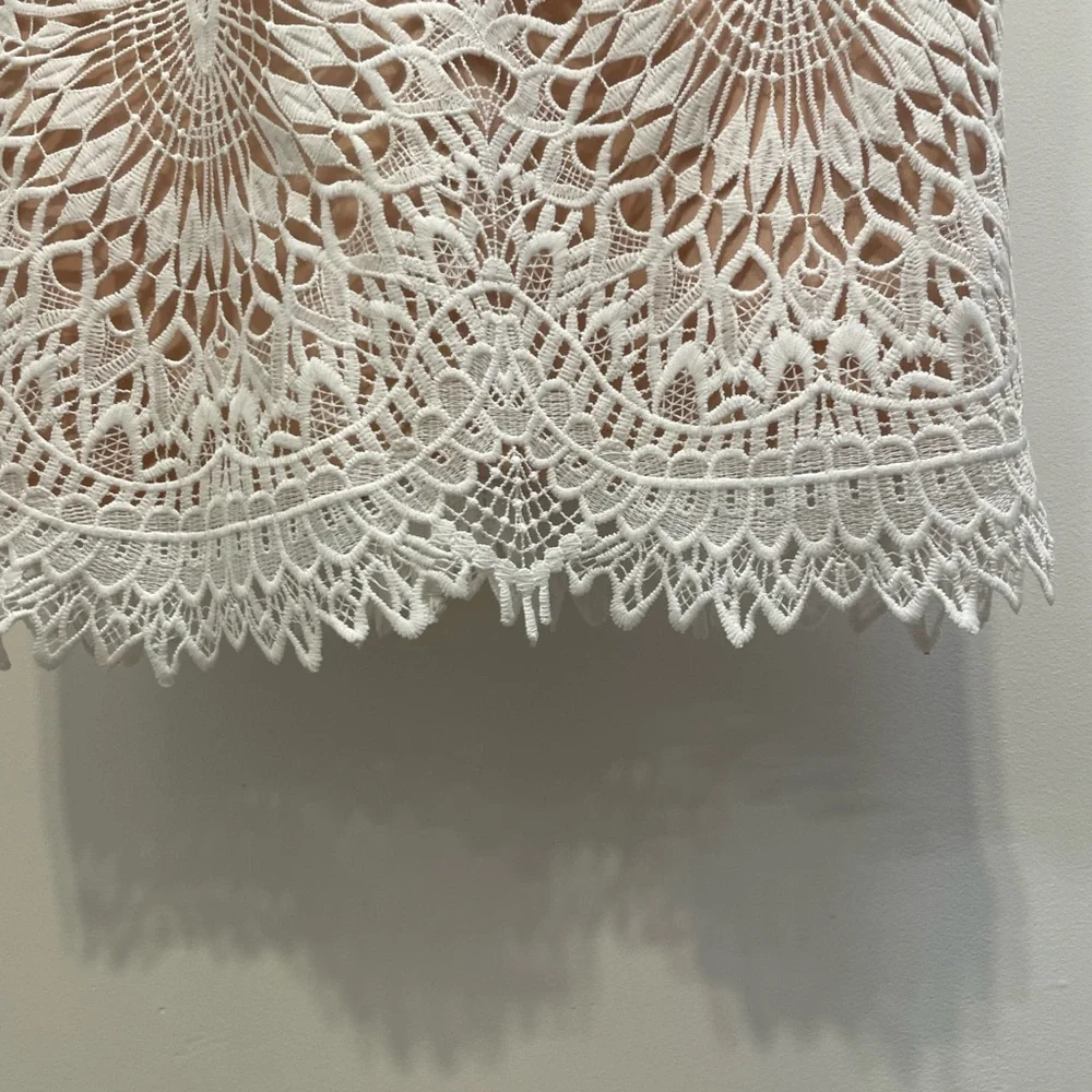 Lulu’s lace mini dress with nude underlayment - Picture 6 of 8